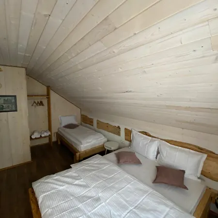 Ana Venkovský dům Topliţa